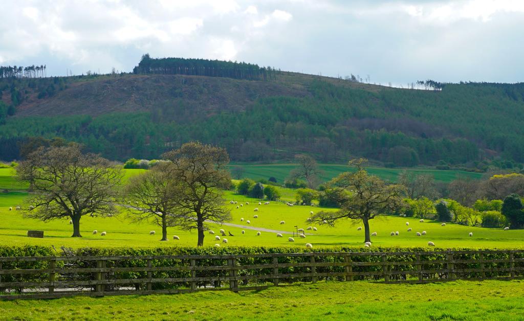 Unwind and Explore: The Tranquil Beauty of the North York Moors Image