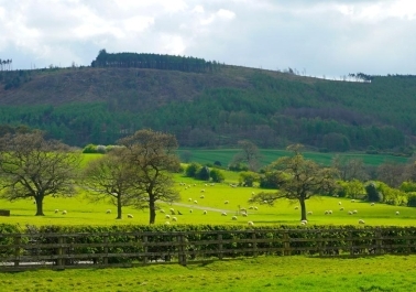 Unwind and Explore: The Tranquil Beauty of the North York Moors Image